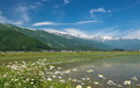 神城の広々とした田園風景