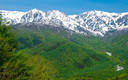 岩岳から望む新緑の白馬三山