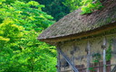 藁葺きの小屋