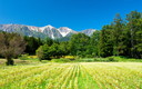 蕎麦の花と快晴の白馬三山