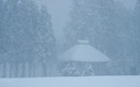 吹雪の中のお堂