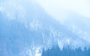 晩冬の白馬北大出